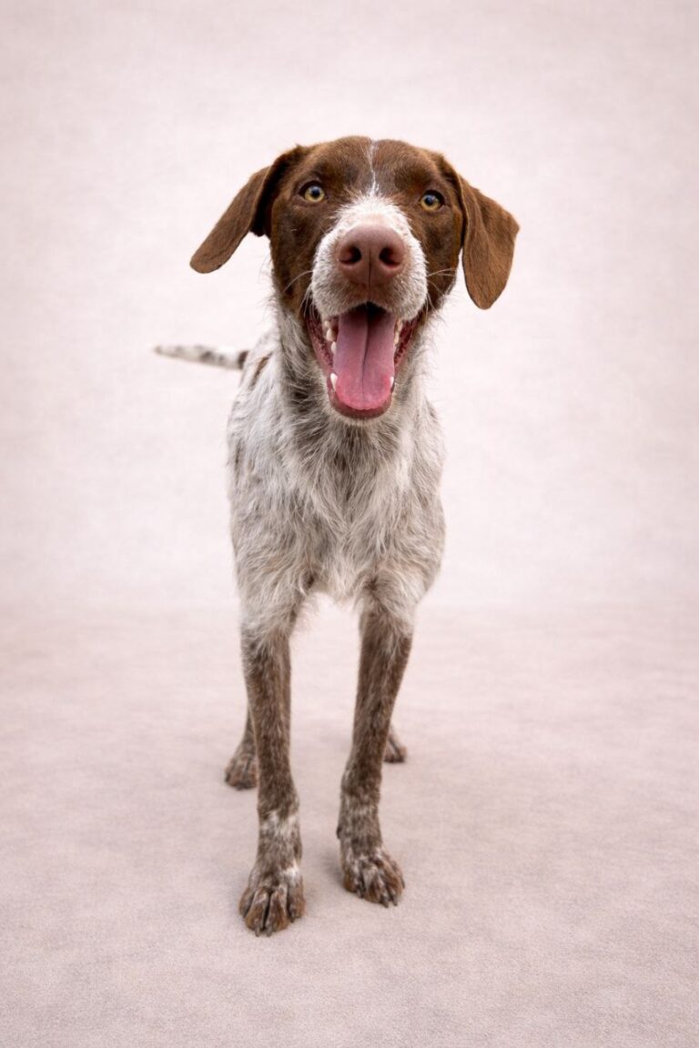 photo_5837217321477410025_y