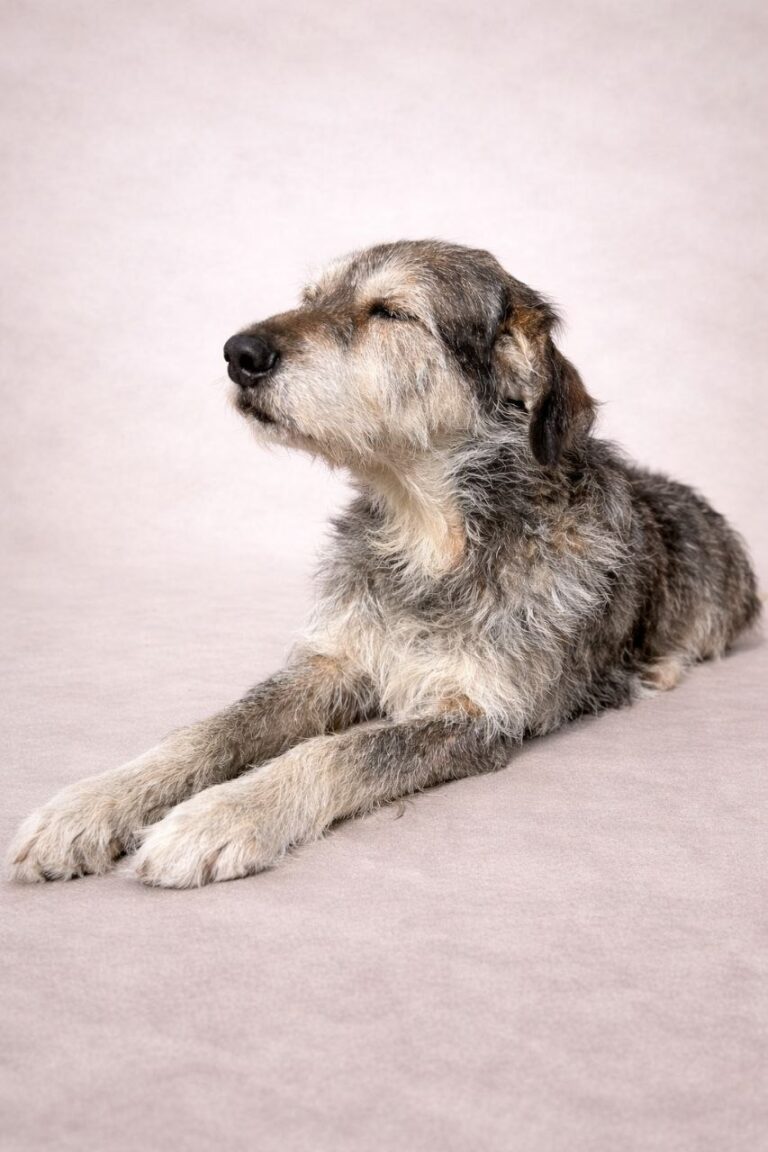 photo_5837217321477410027_y