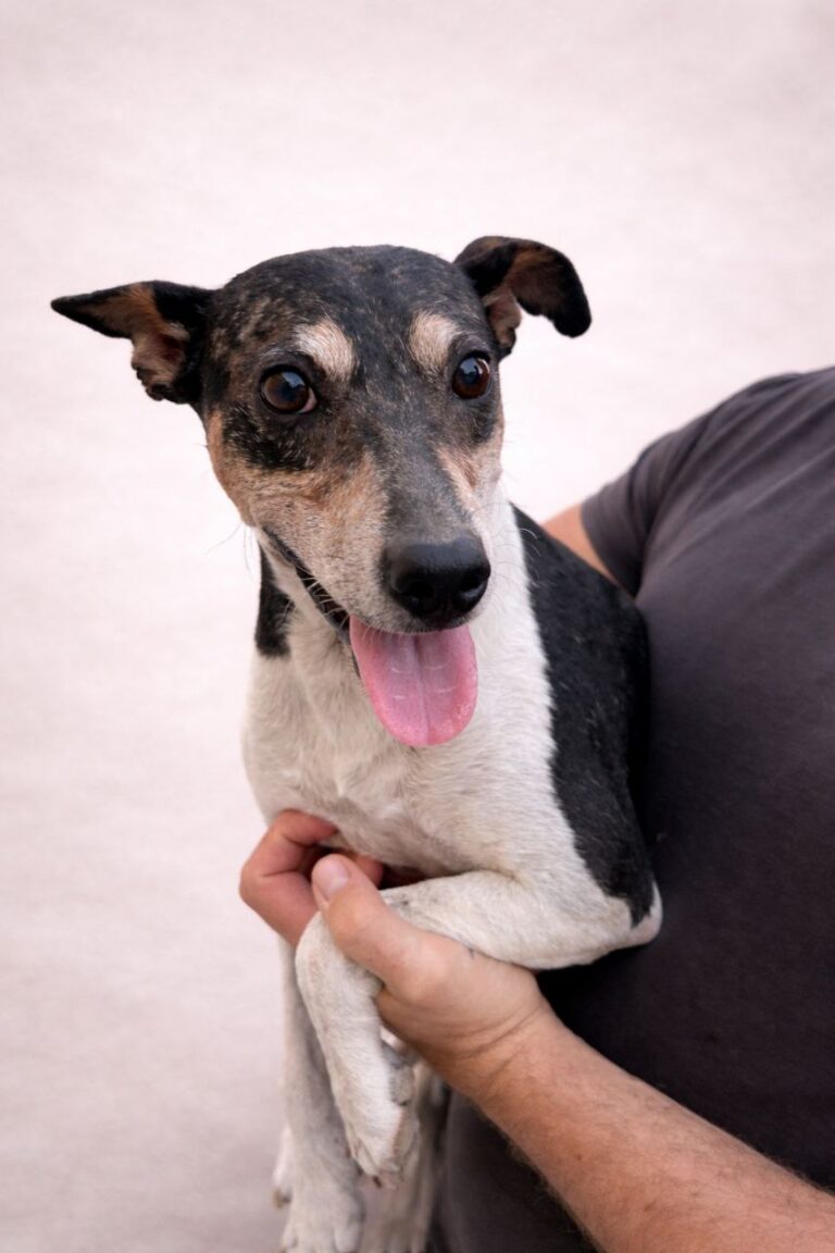 photo_5837217321477410029_y