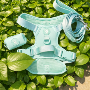 PACK Arnés Trail + Correa + Porta Bolsas Aguamarina